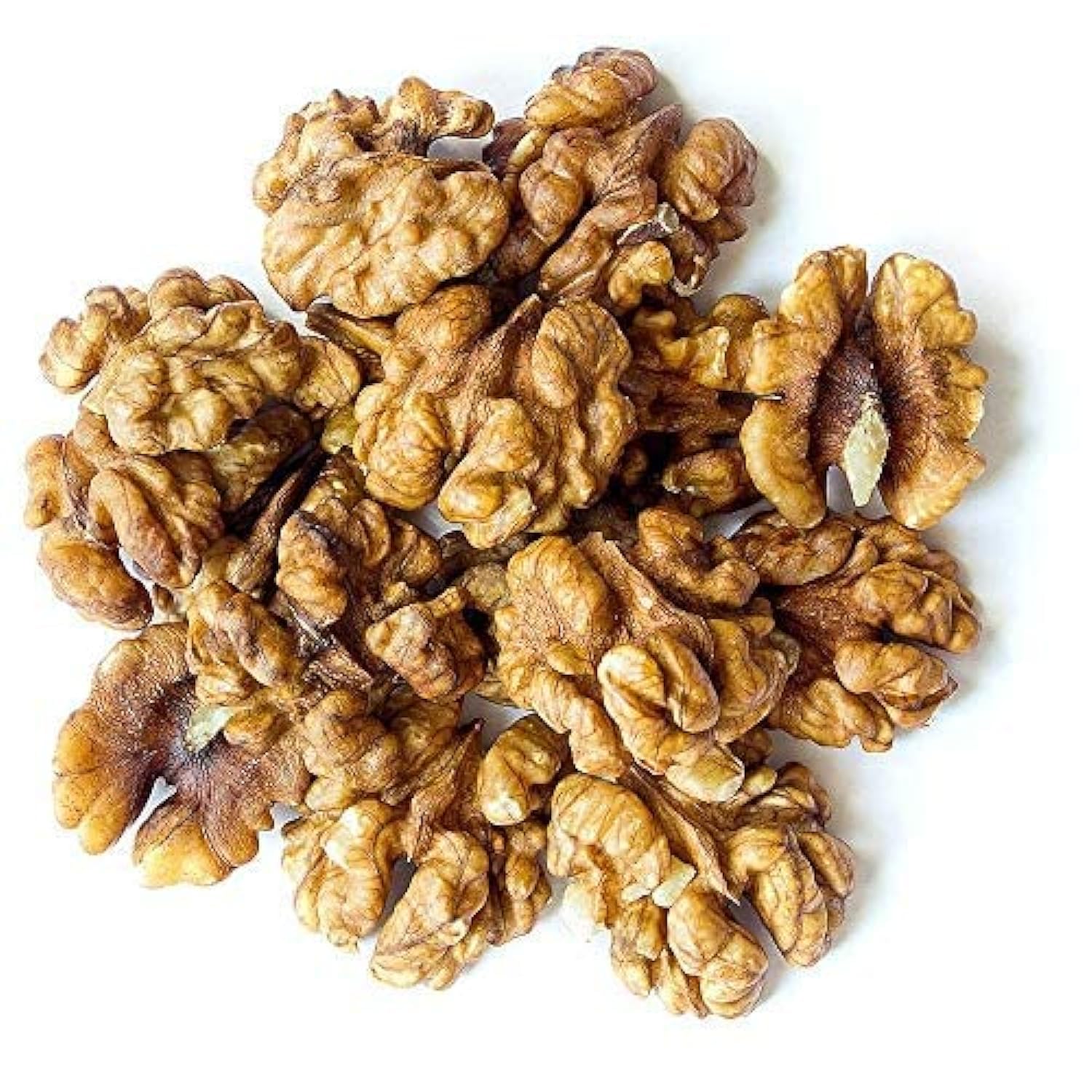 WALNUT